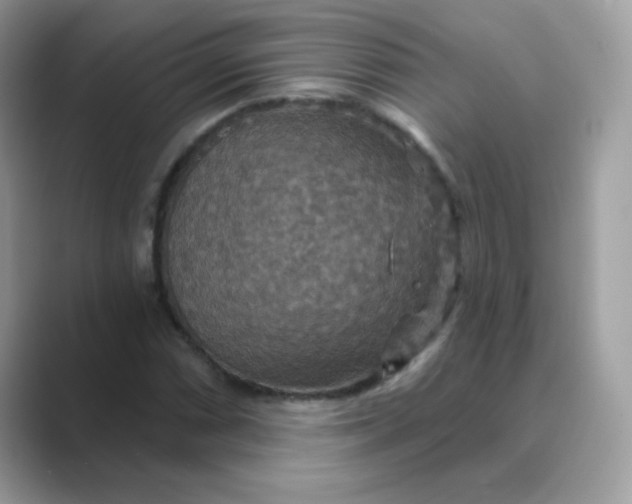 X0000089721066200707051715