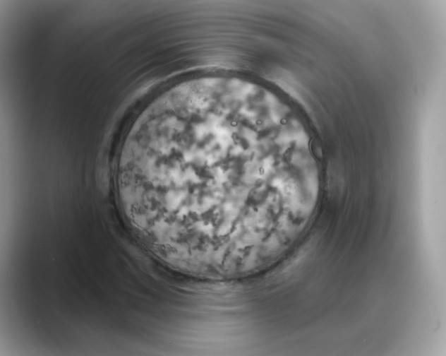 X0000089721067200707051715