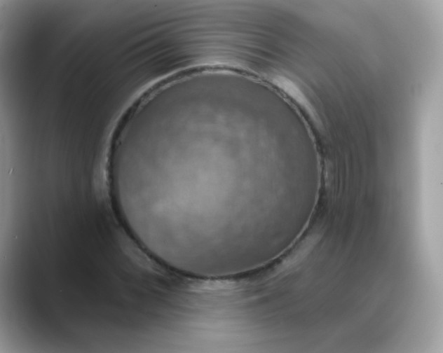 X0000089721068200707051715