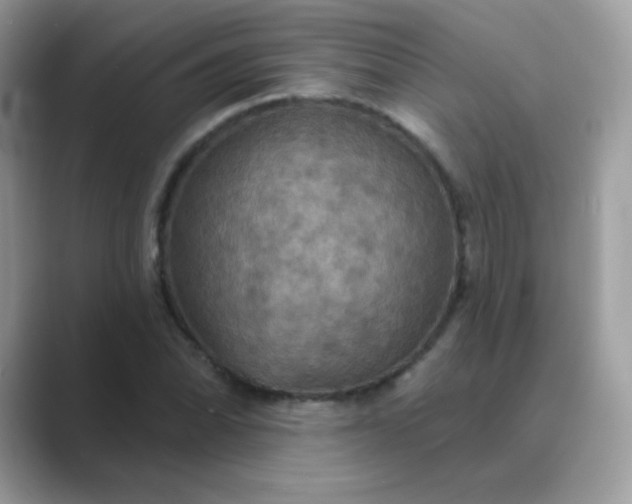 X0000089721070200707051715