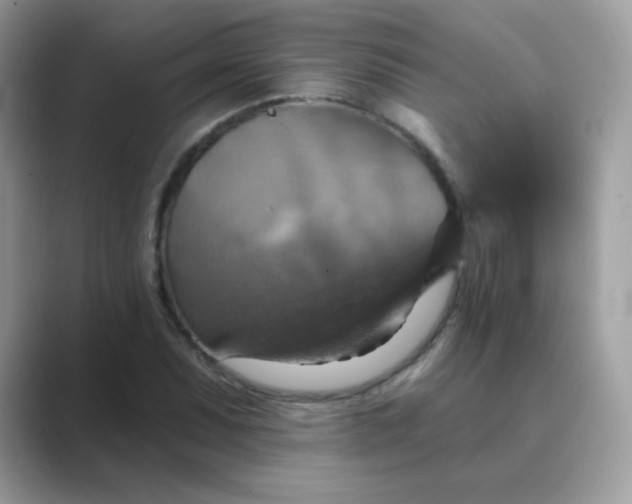 X0000089721071200707051715