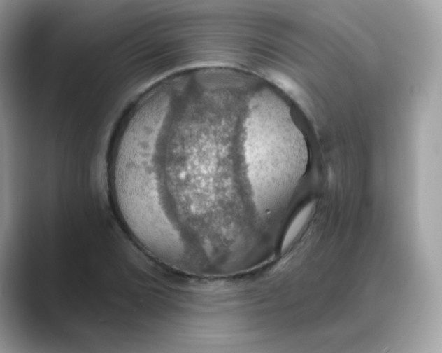 X0000089721072200707051715