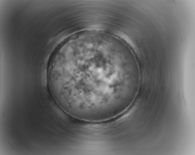 X0000089721075200707051715