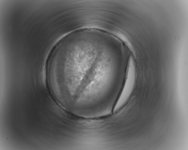 X0000089721076200707051715