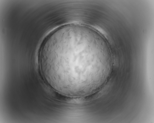X0000089721078200707051715