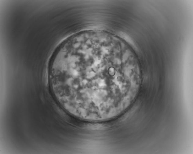 X0000089721079200707051715
