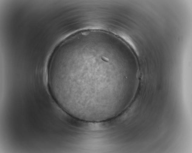 X0000089721080200707051715