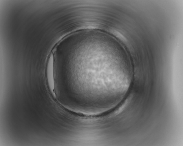 X0000089721081200707051715