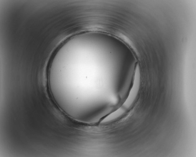X0000089721082200707051715