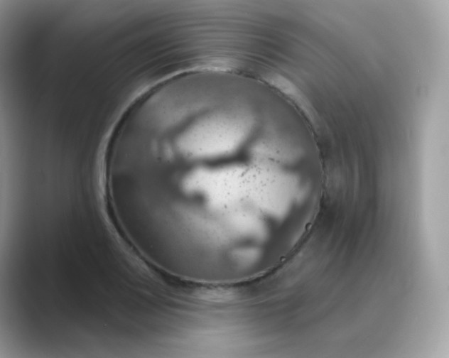 X0000089721083200707051715