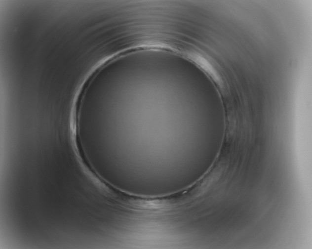 X0000089721084200707051715