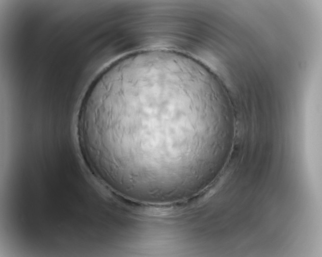 X0000089721086200707051715