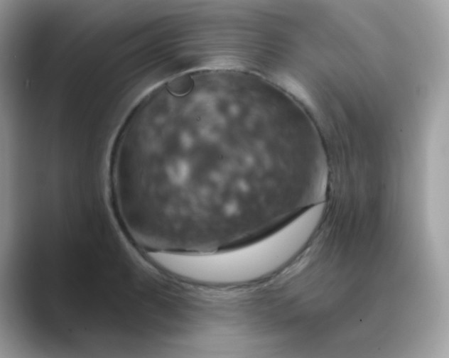 X0000089721087200707051715