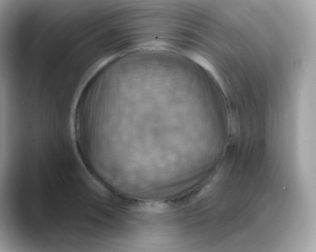 X0000089721090200707051715