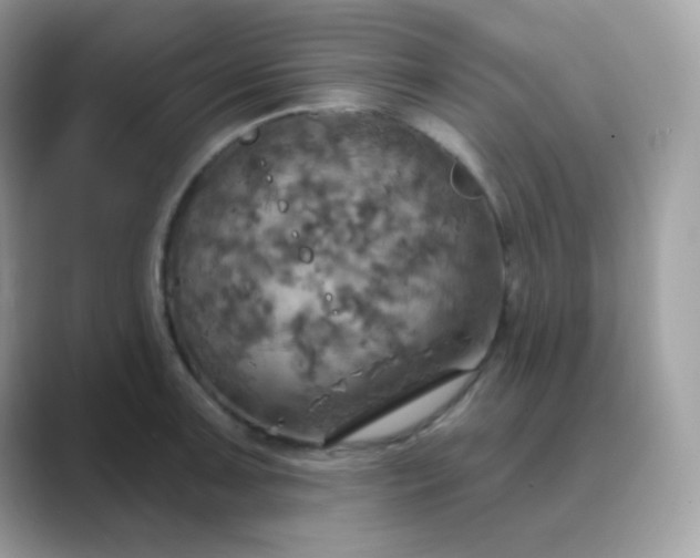 X0000089721091200707051715