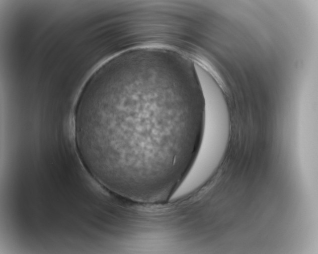 X0000089721092200707051715