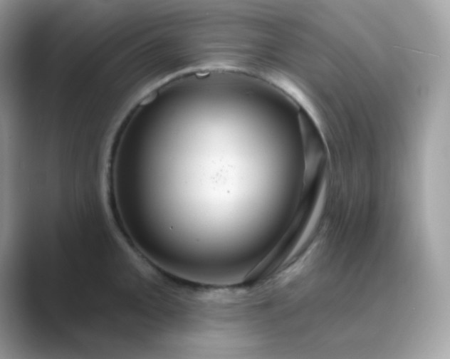 X0000089721093200707051715