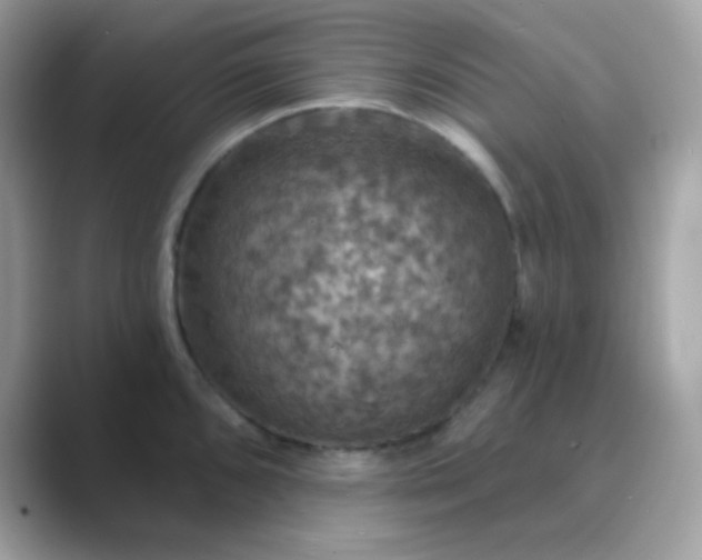 X0000089721096200707051715