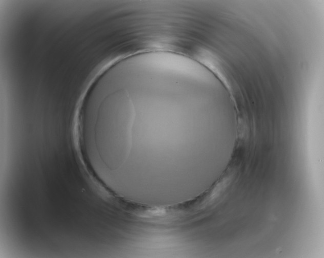 X0000089721098200707051715