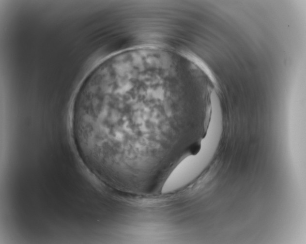 X0000089721099200707051715