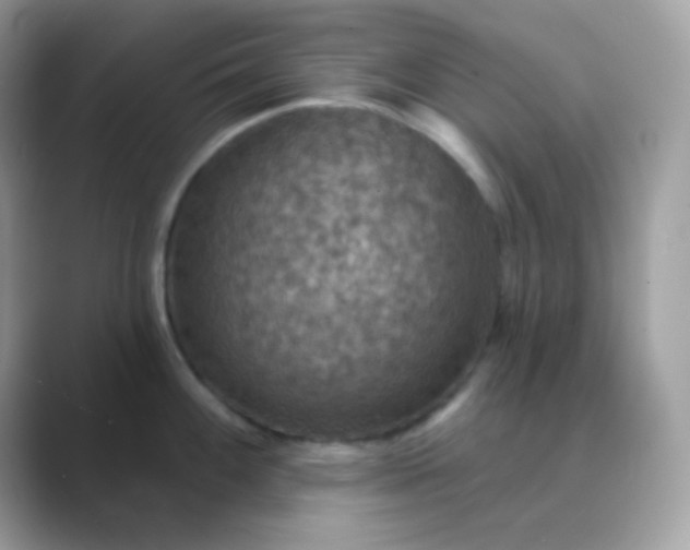 X0000089721100200707051715