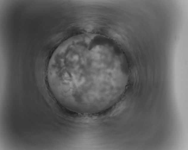 X0000089721105200707051714