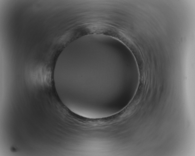 X0000089721108200707051714