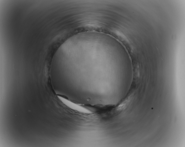 X0000089721110200707051714