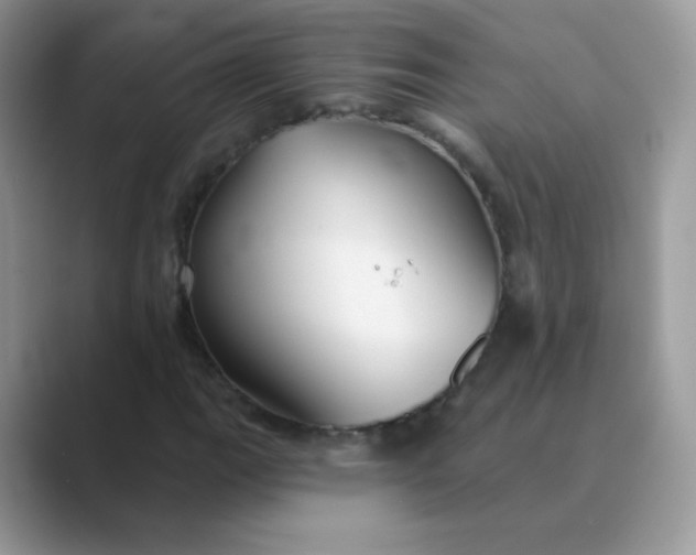 X0000089721111200707051714