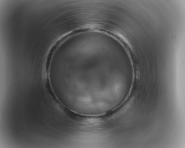 X0000089721117200707051715