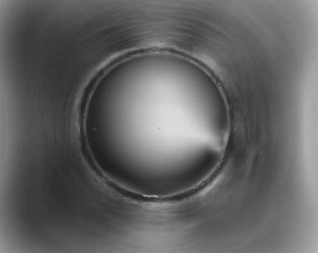 X0000089721118200707051715