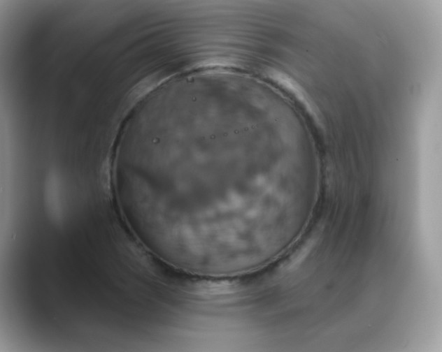 X0000089721121200707051715