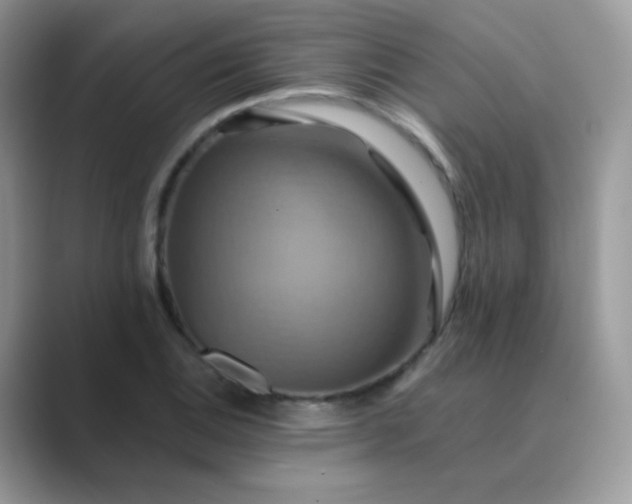 X0000089721124200707051715