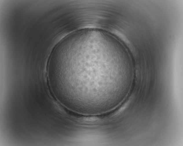 X0000089721129200707051715