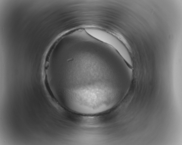 X0000089721132200707051715