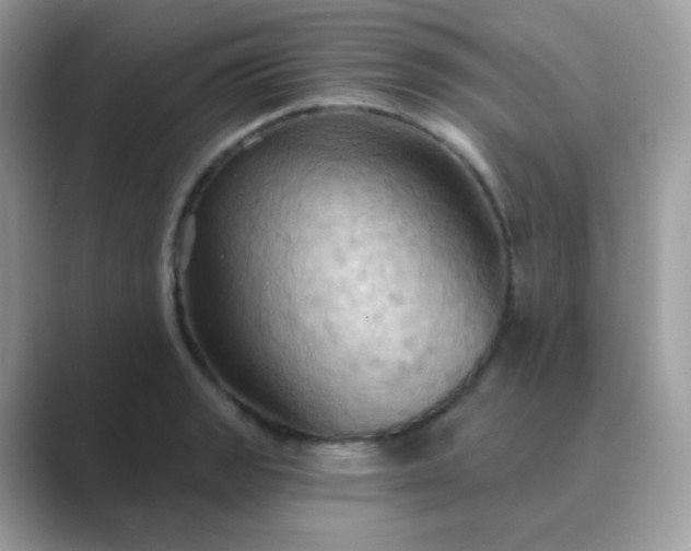 X0000089721133200707051715