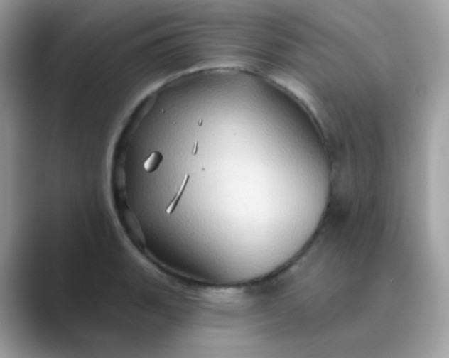 X0000089721135200707051715