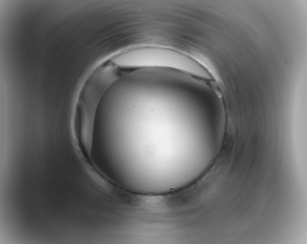 X0000089721136200707051715