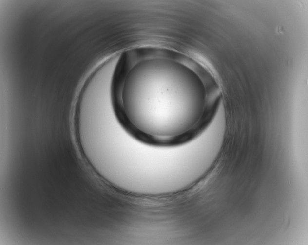 X0000089721138200707051715