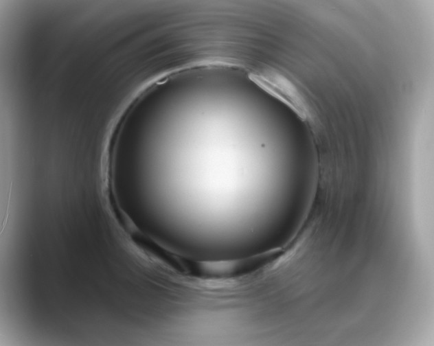 X0000089721140200707051715