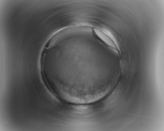 X0000089721141200707051715