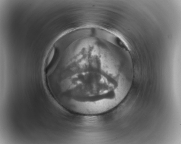 X0000089721142200707051715