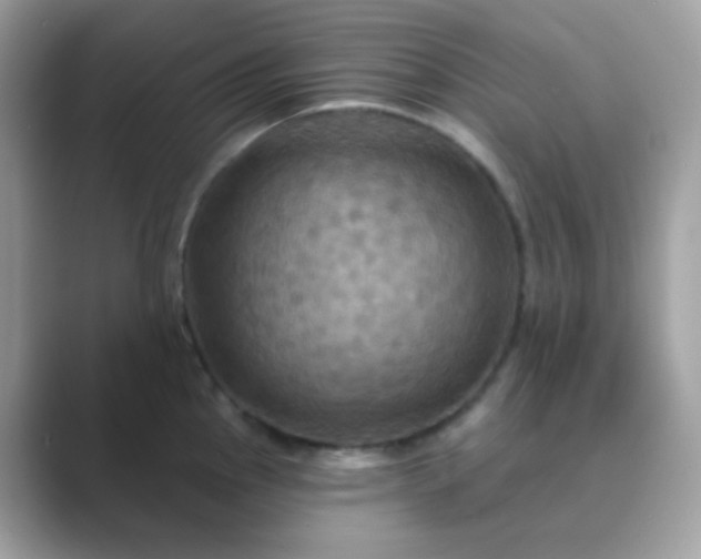 X0000089721145200707051715