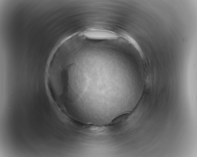X0000089721146200707051715