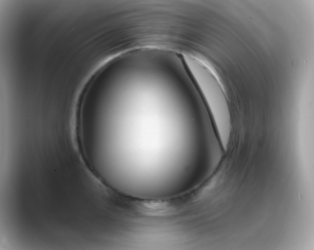 X0000089721147200707051715