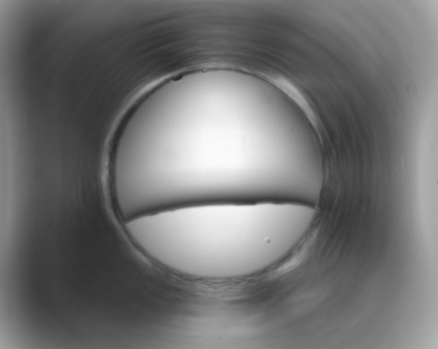 X0000089721149200707051715