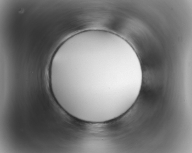 X0000089721150200707051715