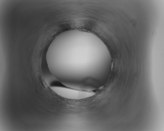 X0000089721153200707051714