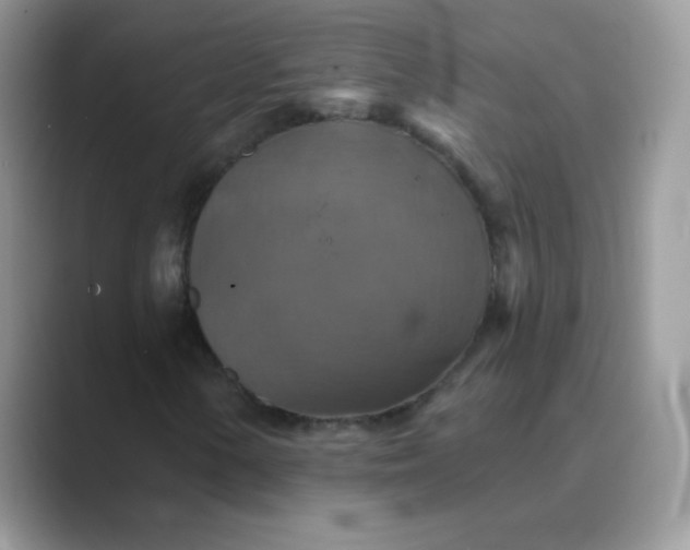 X0000089721154200707051714