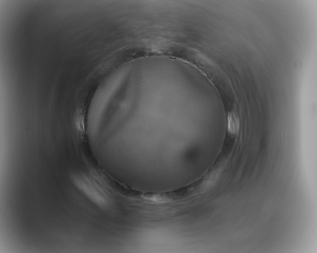 X0000089721155200707051714